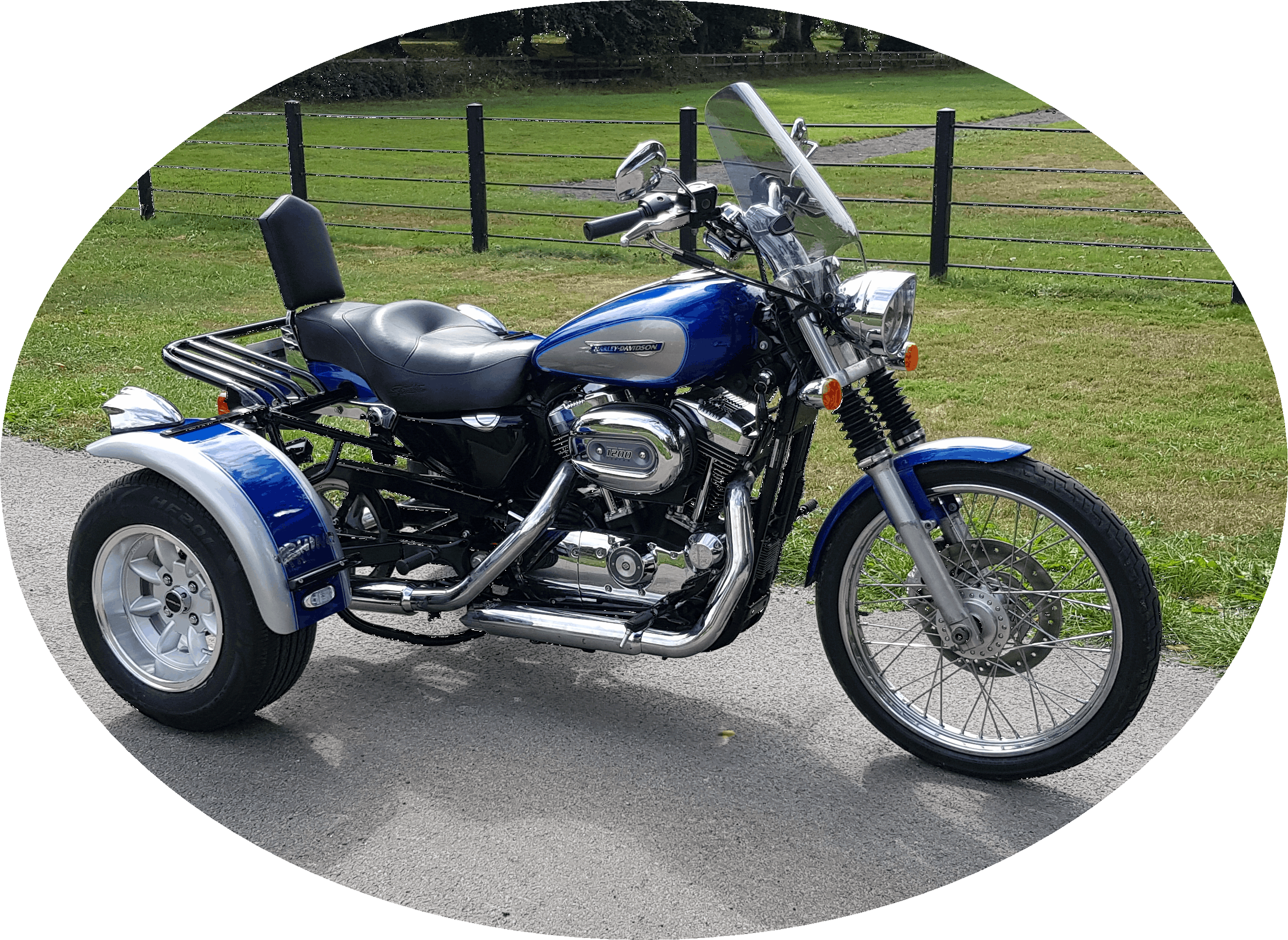 Two tone 883 trike